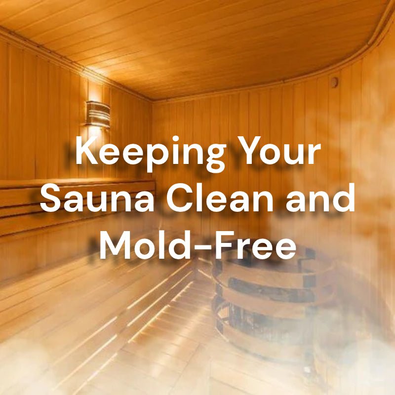 Keeping Your Sauna Clean and Mold-Free