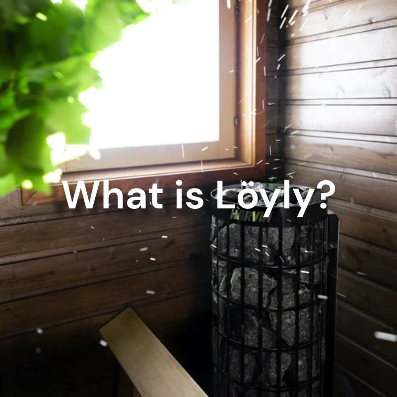 What is Löyly?