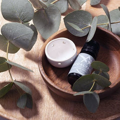 Saunum Aroma Oil Set, Eucalyptus Aroma Oil with Reservoir, 10ml - Select Saunas